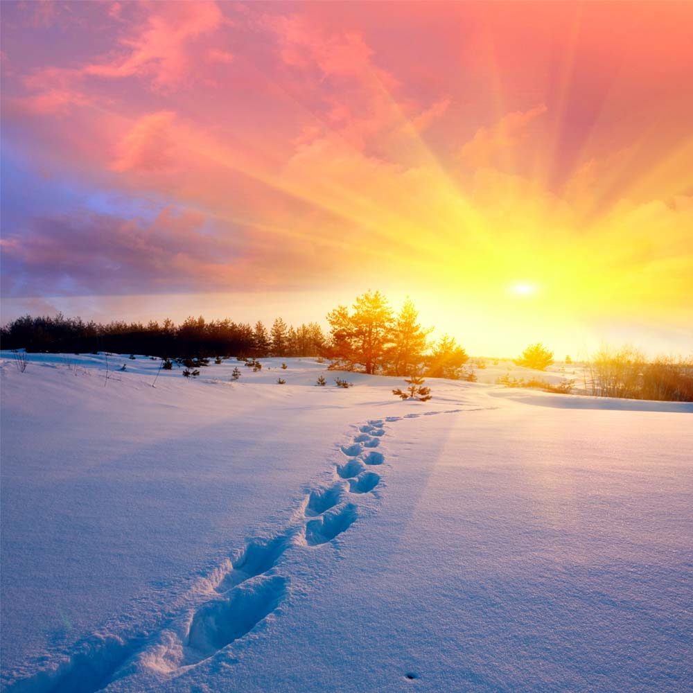 Winter im Erzgebirge